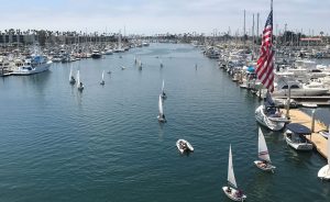 The Sea Scouts navigate a flotilla of sailing dinghies in the harbor channel
