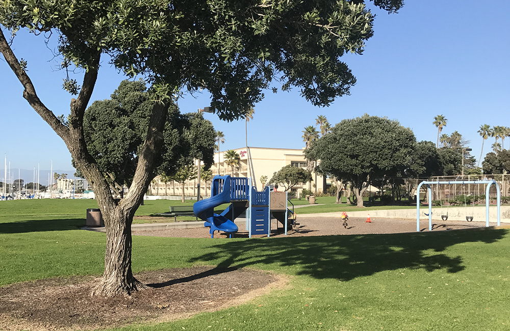 Gnarled trees provide shade next to the playground at Peninsula Park