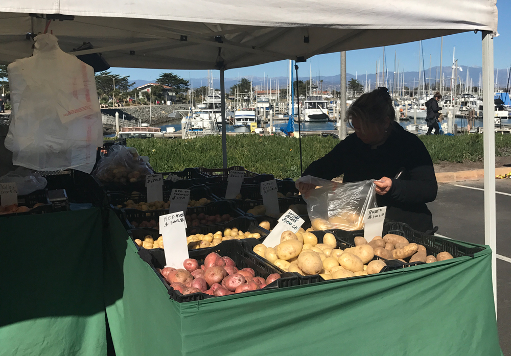 A customer bags potatoes at the Farmers' Market