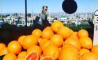 Navel oranges piled high, visitors walk past