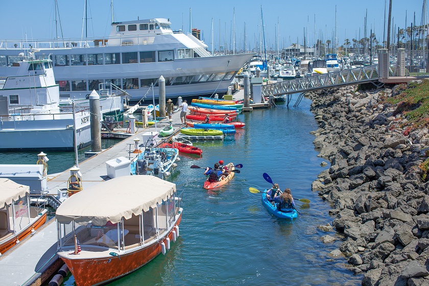 A few people are paddling towards the kayak rental dock on the harbor