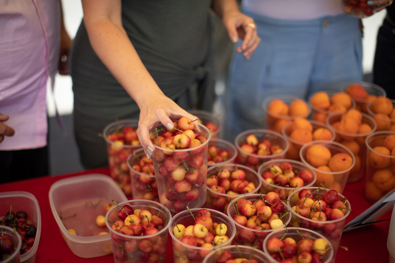 A women chooses from pints of fresh cherries and apricots