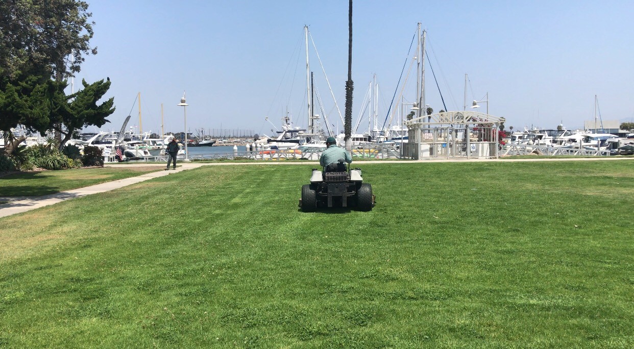 A groundskeeper mows the grass with a riding mower at CIH park