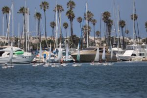 A flotilla of sailboats crosses the harbor against a backdrop of moored boats and palm trees