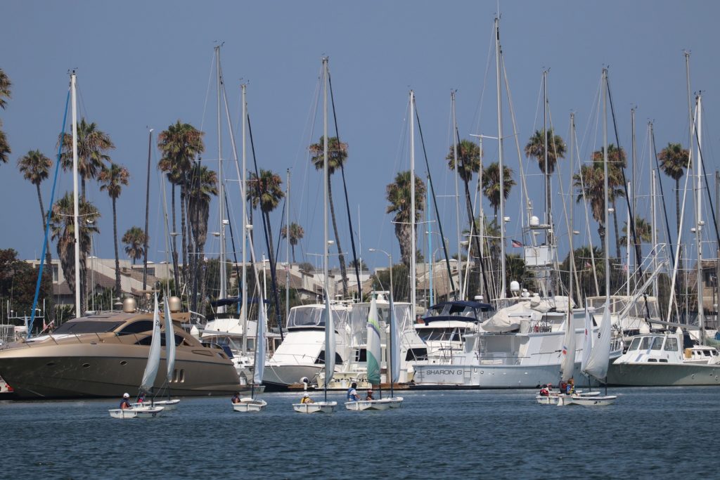 A flotilla of sailboats crosses the harbor against a backdrop of moored boats and palm trees