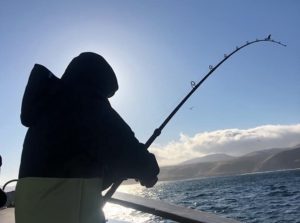 A fisher is silhouetted, rod bent heavily
