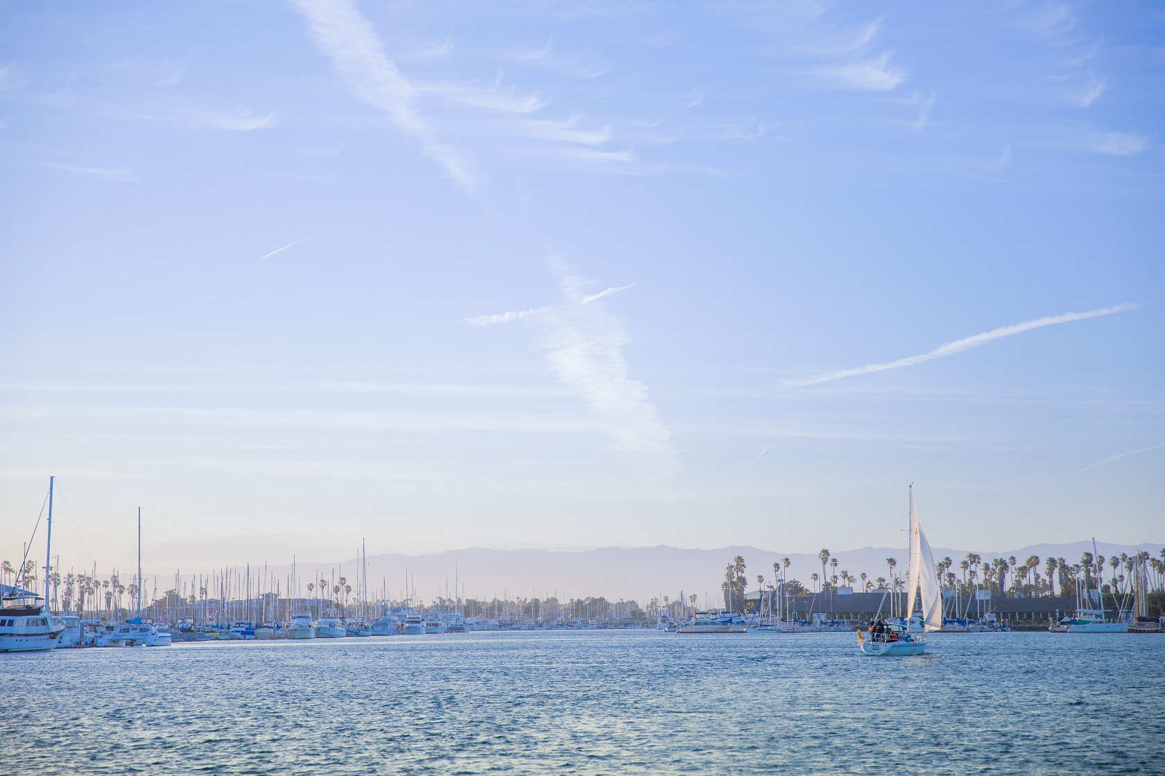 Home Channel Islands Harbor