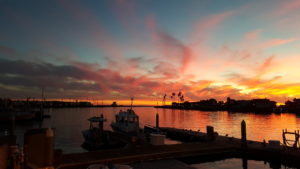 harbor at sunset