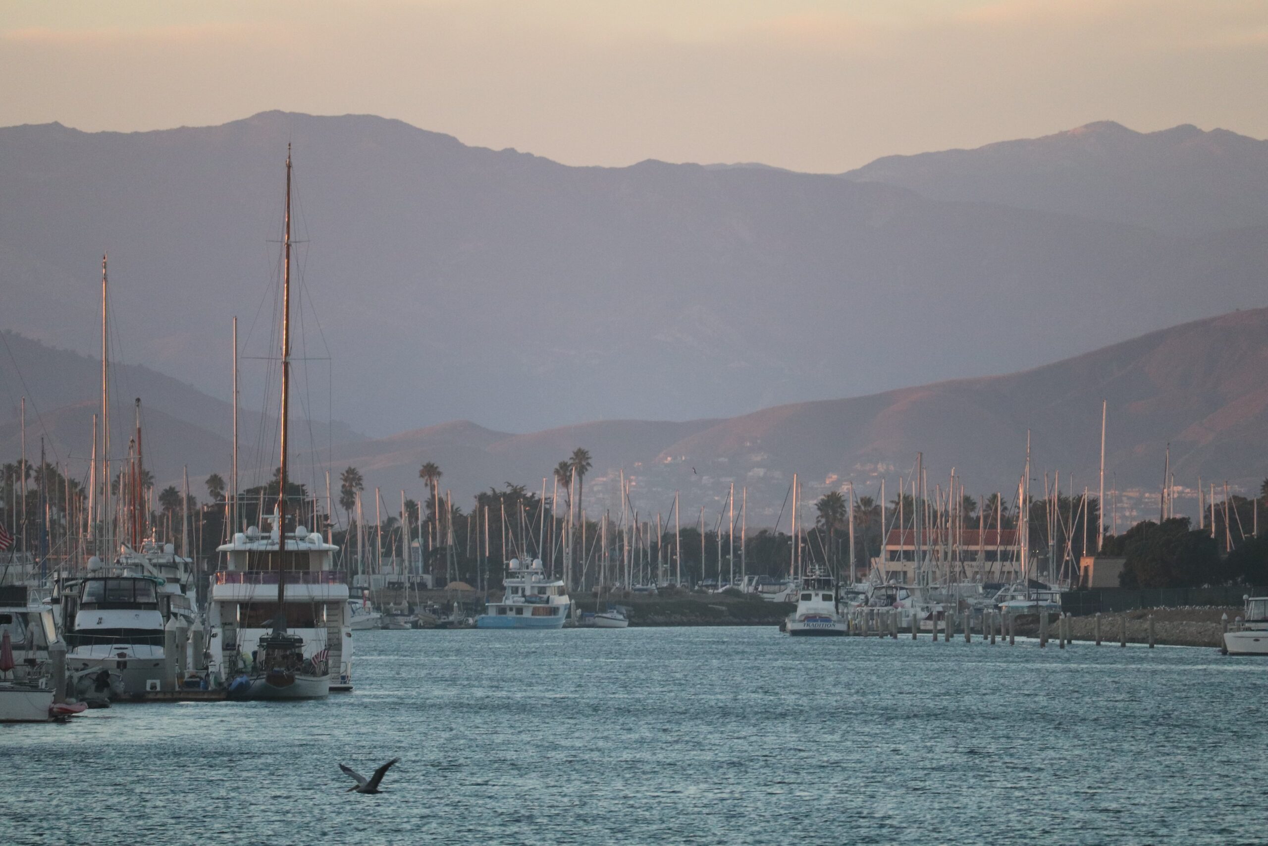 December 2023 Director's Message Channel Islands Harbor